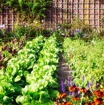 spring garden
