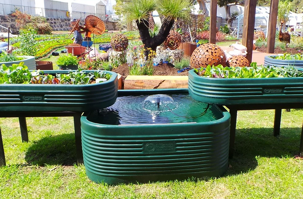 Thriving aquaponic garde