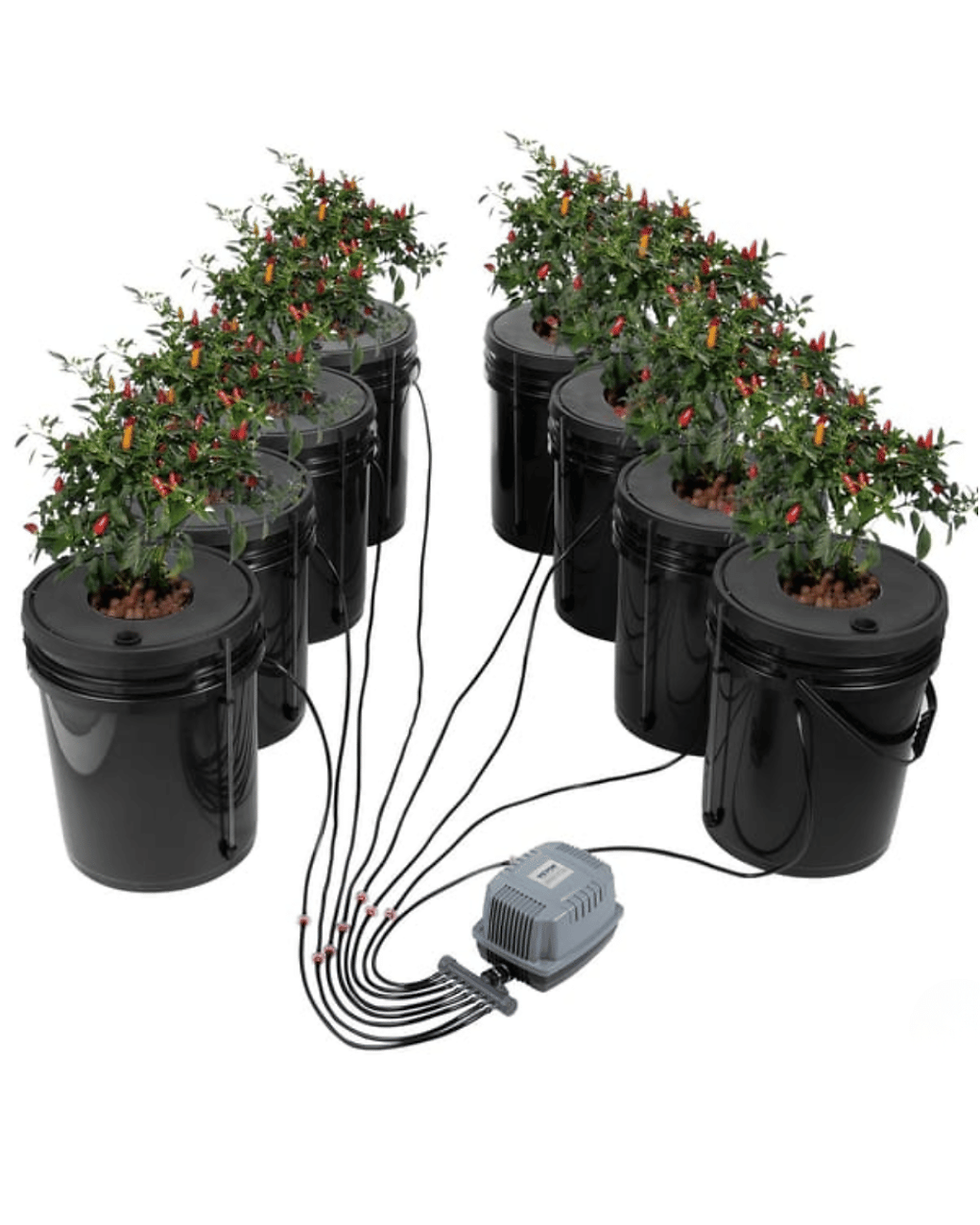 8 Pot 19L DWC Hydroponic Bucket System | Deep Water Culture Grow Kit