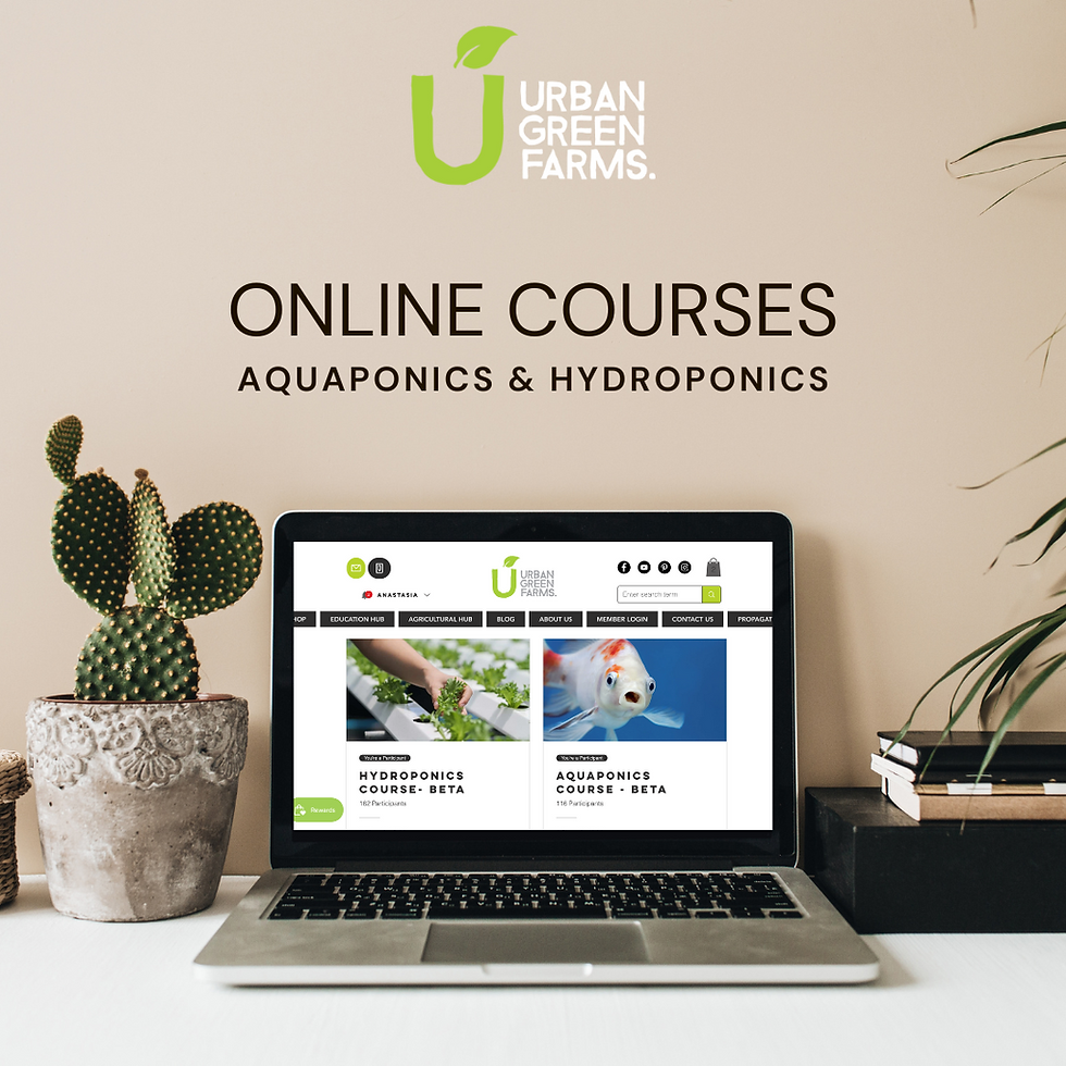 Aquaponic courses