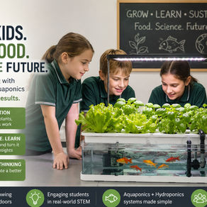 school STEM projects