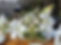 IMG-7276.JPEG