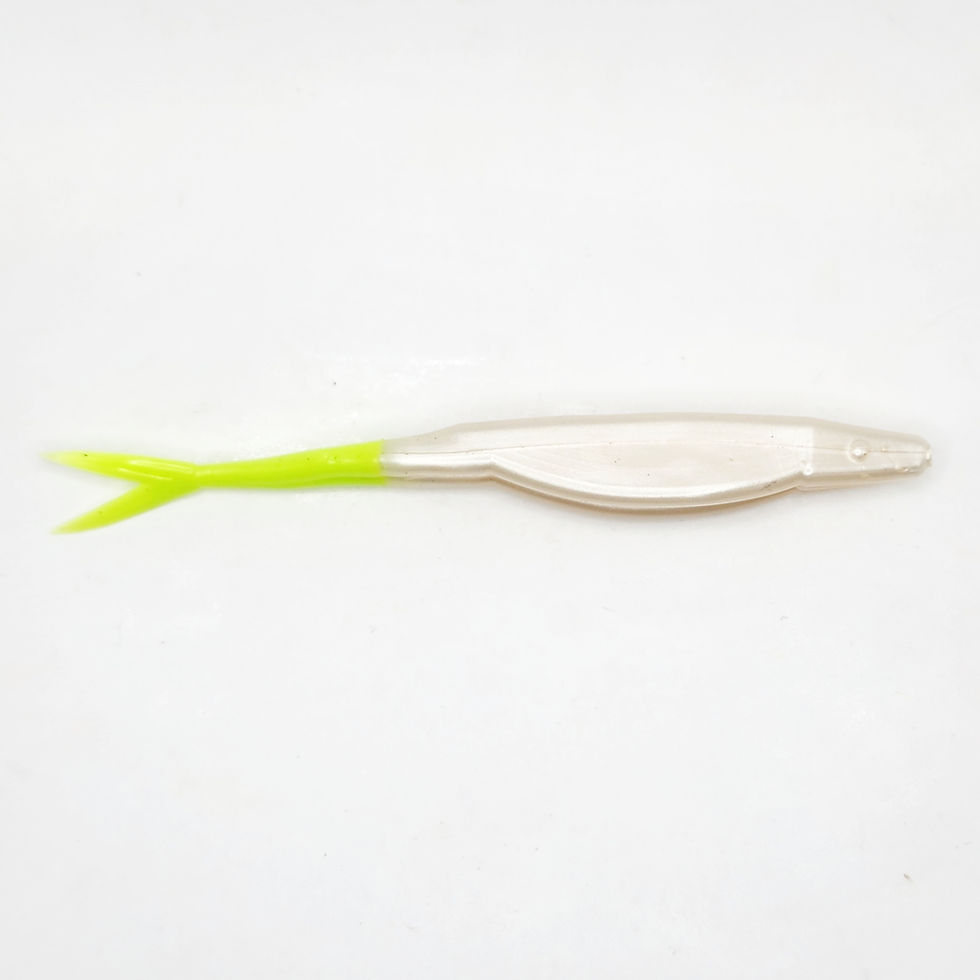 Thumbnail: Cigar Minnow