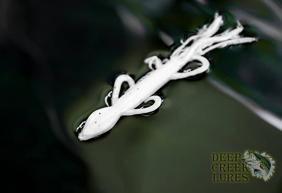 Thumbnail: Skirted Lizard