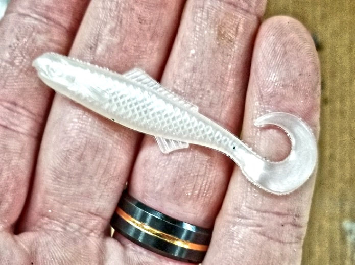 Thumbnail: Glass Minnow