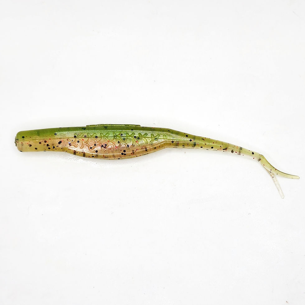 Thumbnail: Cigar Minnow