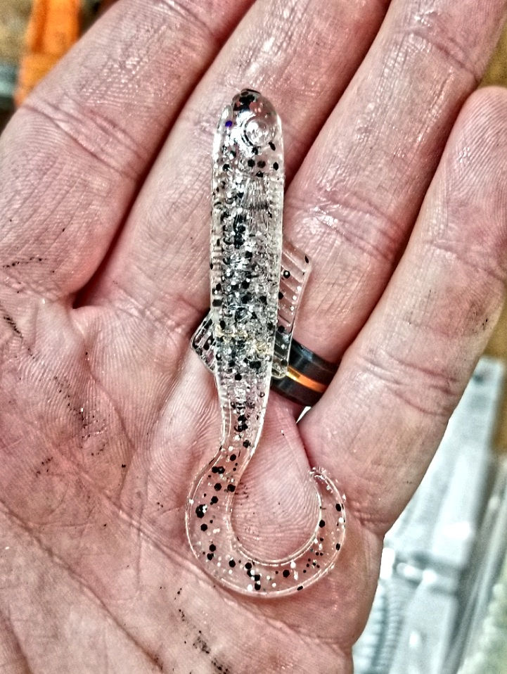 Thumbnail: Glass Minnow