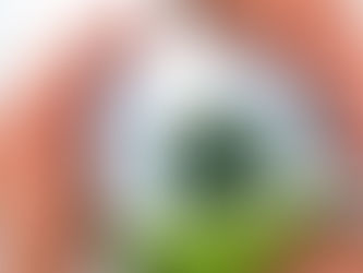 Dicas de Responsabilidade Social Empresarial