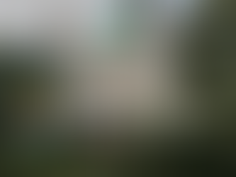 Image of Brighton's Pavilion with text over: "Best spots to satisfy all your Matcha needs in Brighton & Hove"