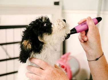 Brushing feels so good I could do this all day.