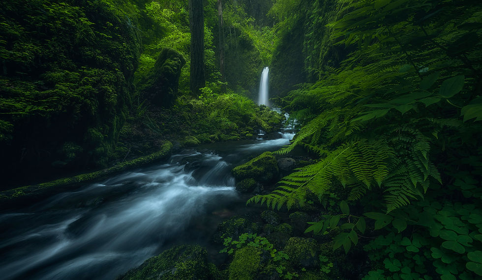 Thumbnail: Waterfall Gems of the Northwest