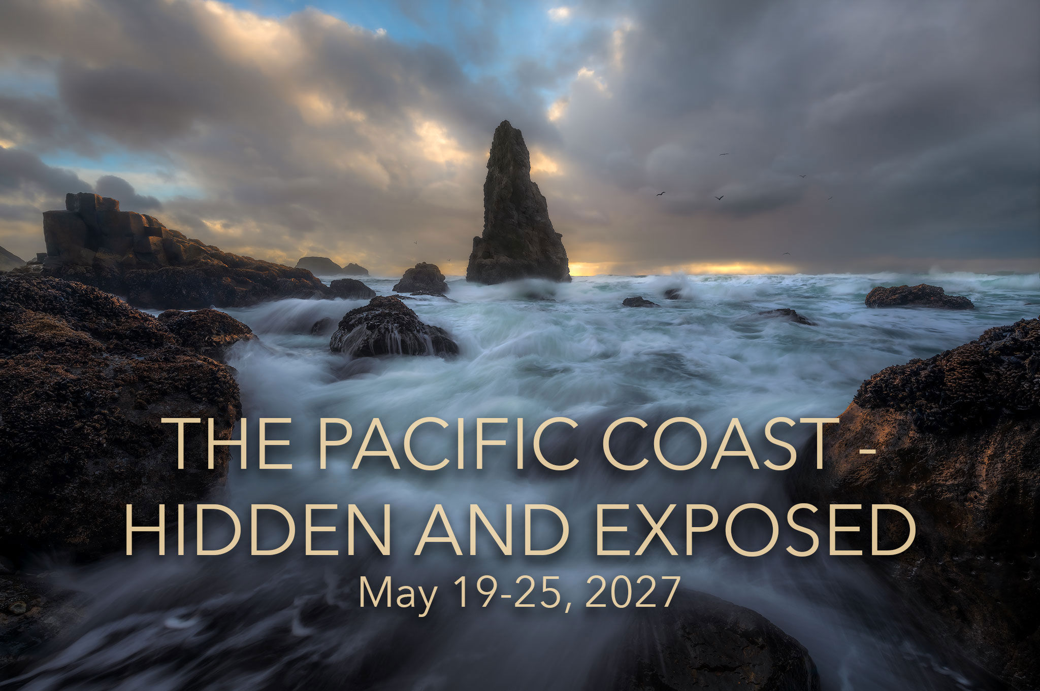 Pacific Coast & Redwoods - 2027