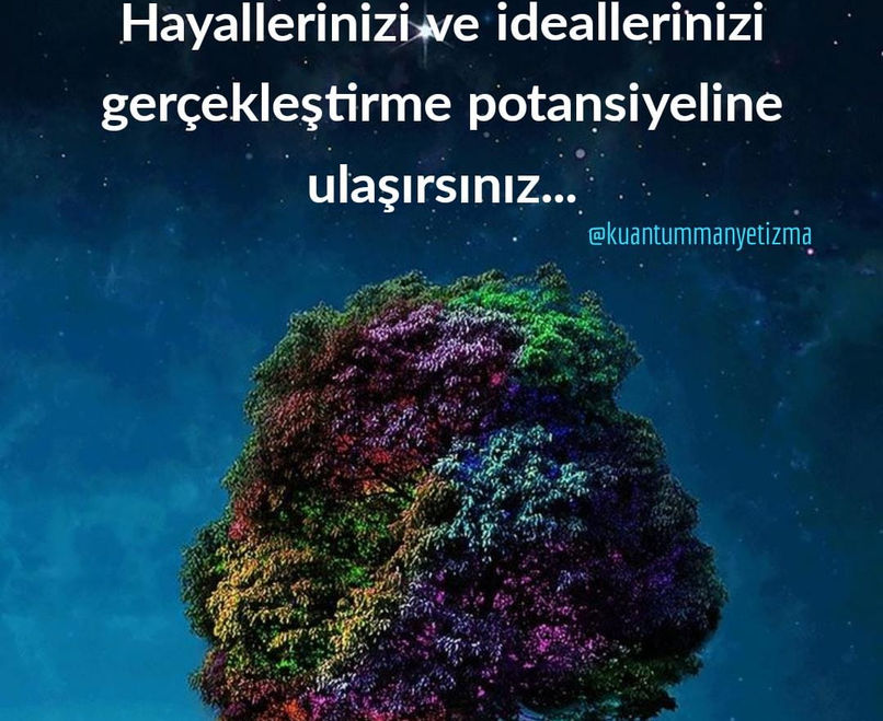 WhatsApp Image 2022-05-19 at 12.24.15 (1).jpeg