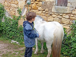 WhatsApp Image 2026-04-15 at 14.22.33.jpeg