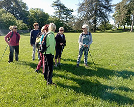 WhatsApp Image 2026-04-17 at 14.45.29 (10).jpeg