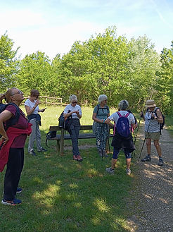 WhatsApp Image 2026-04-17 at 14.45.23.jpeg