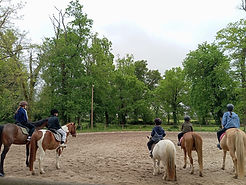 WhatsApp Image 2026-04-15 at 14.22.15.jpeg