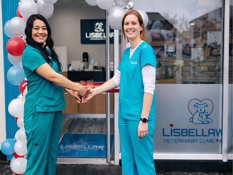 Lisbellaw Veterinary Clinic: Your independent vets in Lisbellaw, Enniskillen