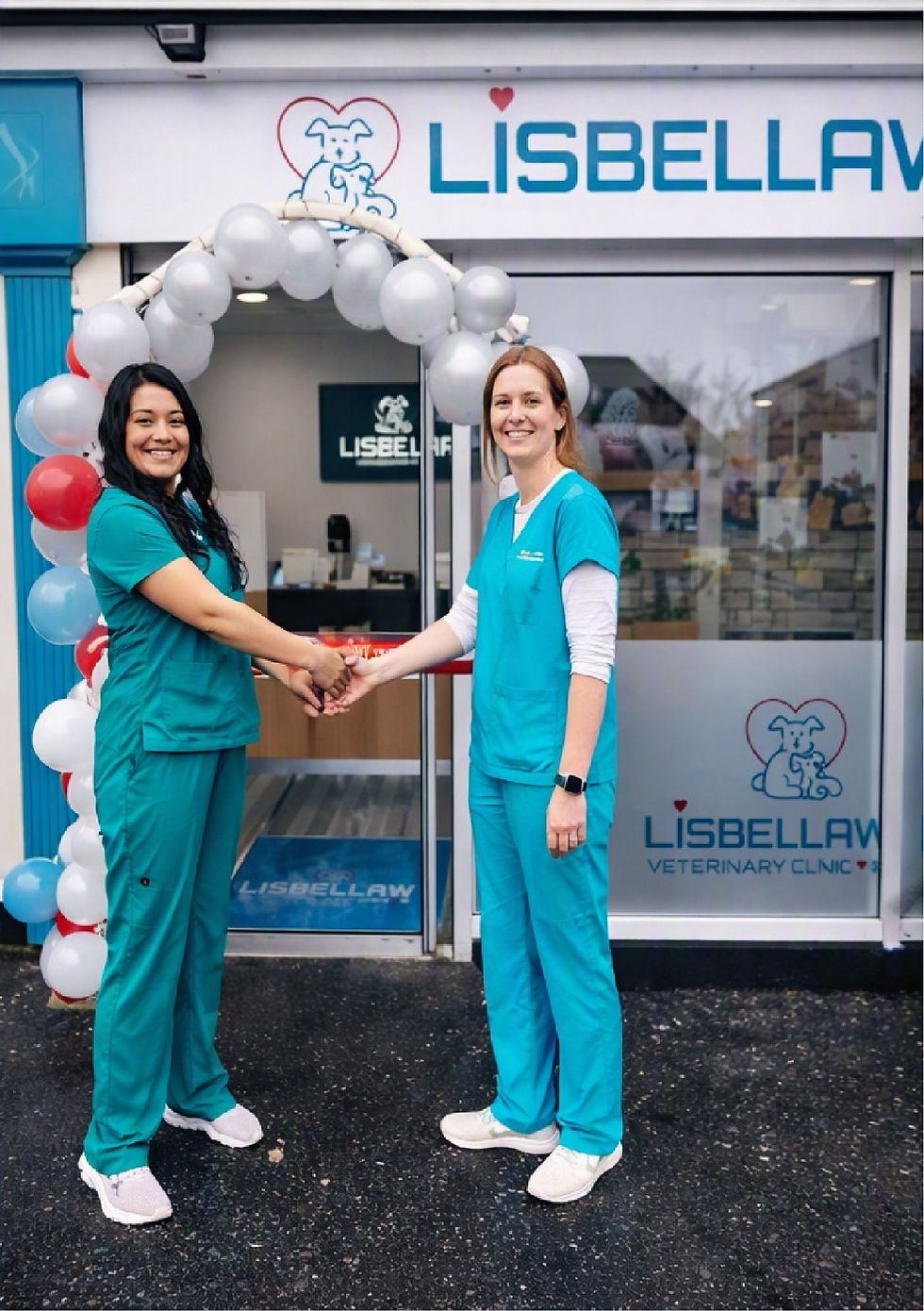 Lisbellaw Veterinary Clinic: Your independent vets in Lisbellaw, Enniskillen