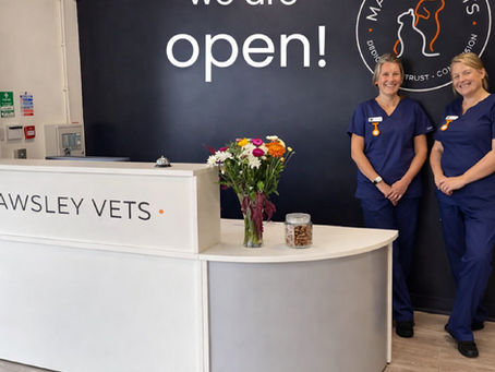 Mawsley Veterinary Surgery: Your independent vets in Mawsley, Kettering
