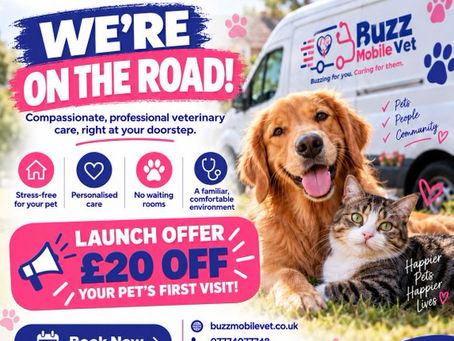 Buzz Mobile Vet: Your independent vets in Crowborough