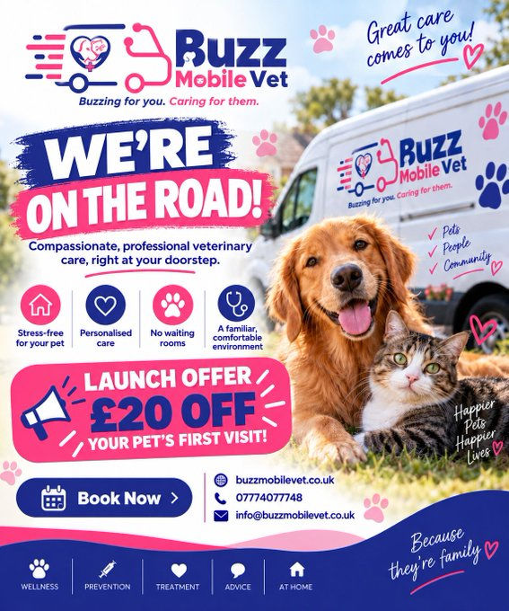 Buzz Mobile Vet: Your independent vets in Crowborough
