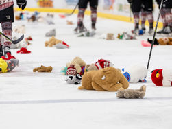 Experience Thrilling Hockey and Heartwarming Charity at the Bulls Teddy Bear Toss