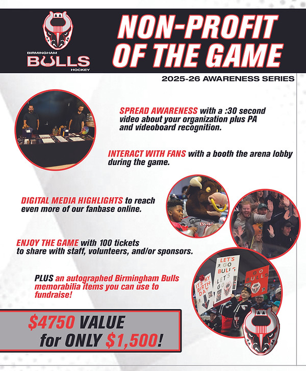 Non-profit of the game flyer.jpg
