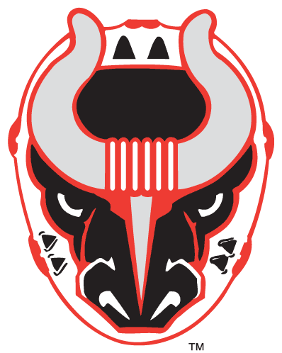 birmingham bulls, birmingham hockey, bulls hockey, birmingham hockey team, sphl, pro hockey in birmingham, alabama hockey