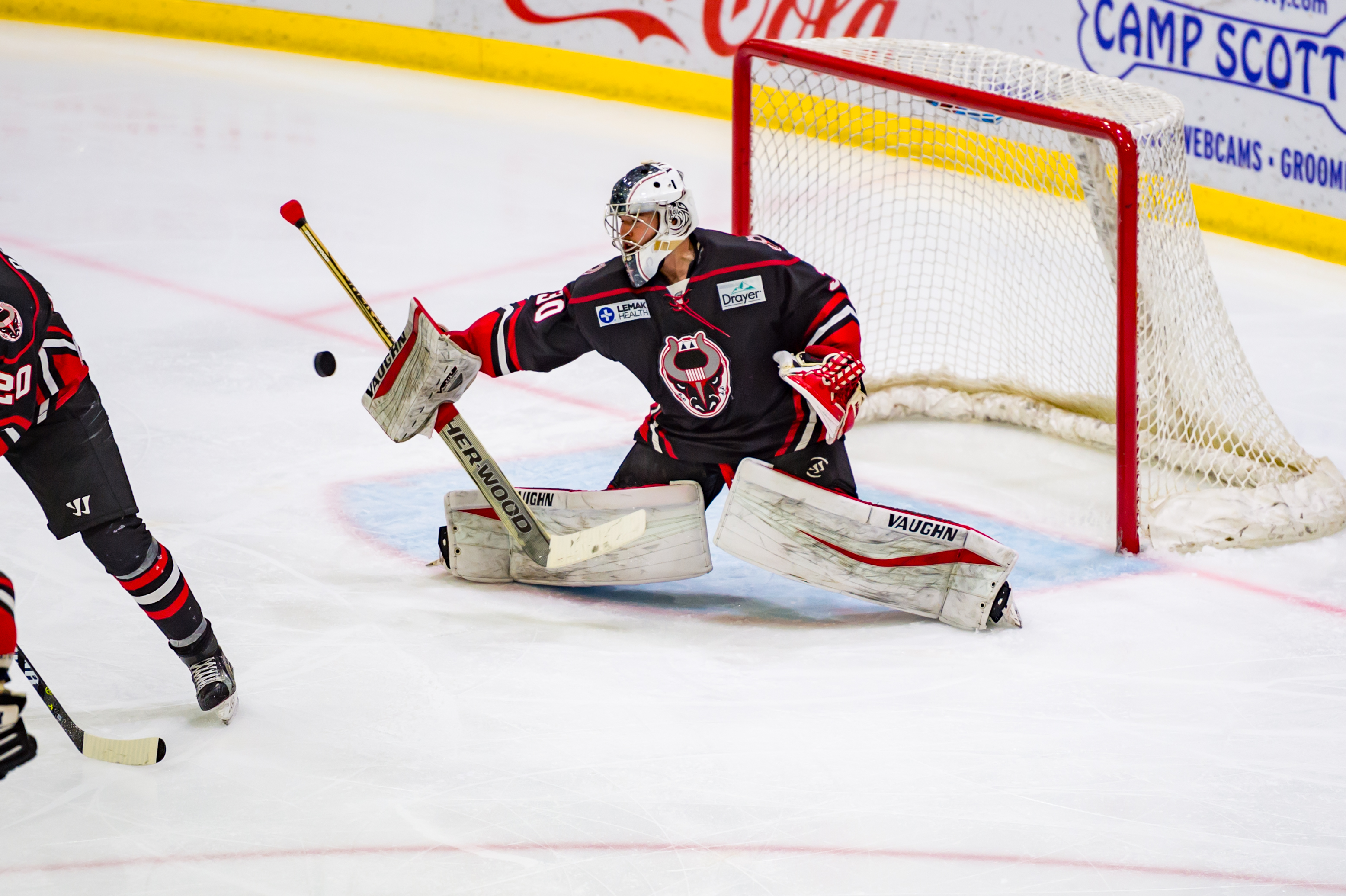 Birmingham Bulls Hockey SPHL Tickets