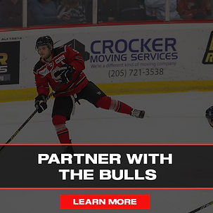Birmingham Bulls, Bullls hockey, Birmingham hockey, Pelham civic complex, hockey team in birmingham, birmingham, pelham, alabama