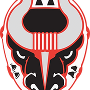 Birmingham Bulls logo