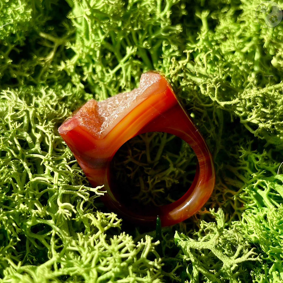 braungestreifter Stein-Ring mit weißem Top auf Moosbett, Heilstein-Schmuck, alternative Methoden