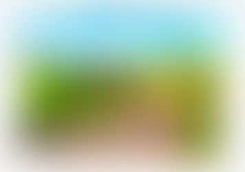 Como cheguei até aqui...