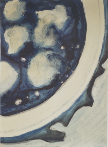 blau8