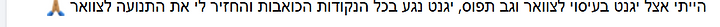 צילום מסך 2026-06-10 135227.png
