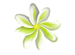 Tiare.png