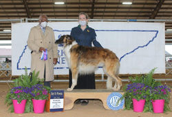 Falcon 1st show and major