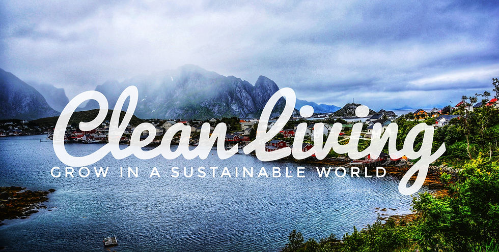 Clean Living