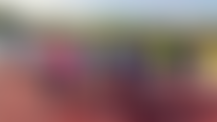 COHESION POUSSIN2/BENJAMIN