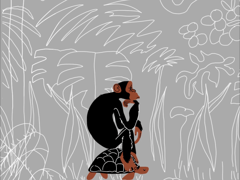 MonkeyTurtle_character_animation_dribble