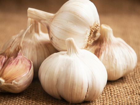 Ajo, el antibiótico natural