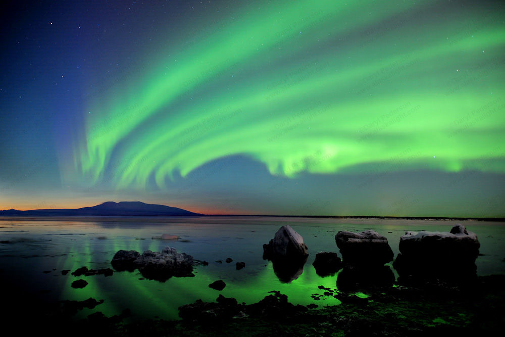 "Electric Lady" Photographic Print