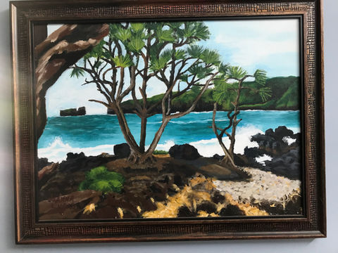 Hawaii Coast