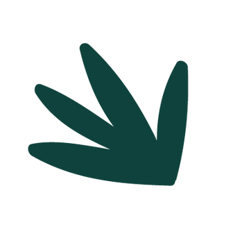 plants-05.png