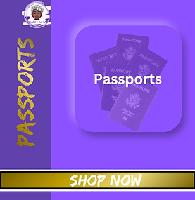 passport 1.png