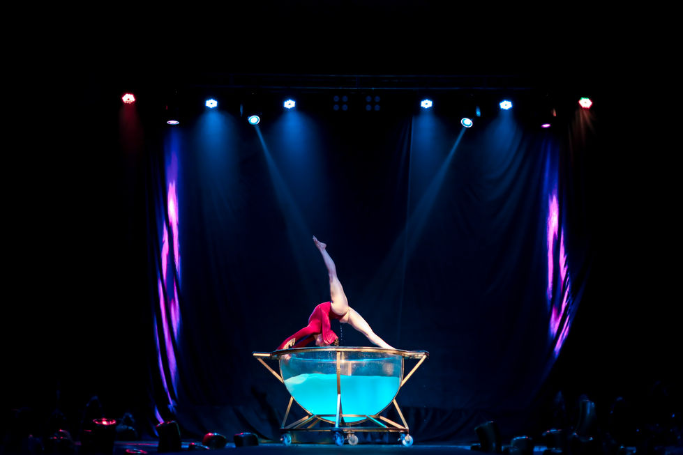 Fotografia e vídeo profissional  