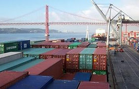 consultores de exportação
