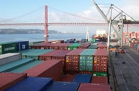 consultores de exportação