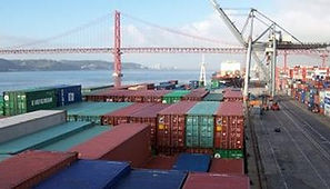 consultores de exportação